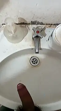 pedritolobito online show from February 27, 2025, 11:50 am