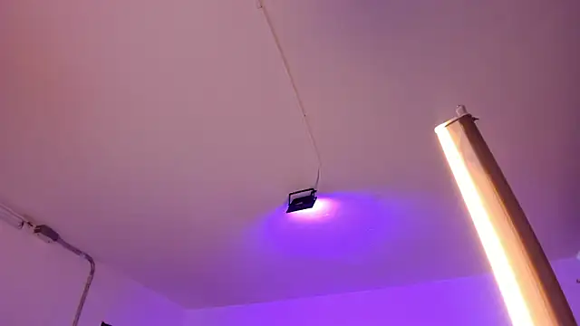 Snapshot of Amy_Kiitty_ chatting on February 4, 2026, 12:55 pm Amy Kiitty online show from February 4, 2026, 12:55 pm