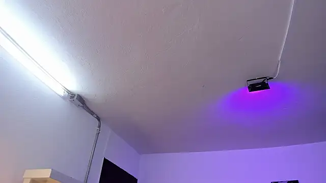 Amy Kiitty  online show from March 17, 2026, 12:52 pm