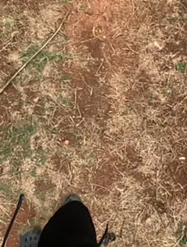 Snapshot of Black_mamba_madingo chatting on February 23, 2025, 1:10 pm Black mamba madingo online show from February 23, 2025, 1:10 pm