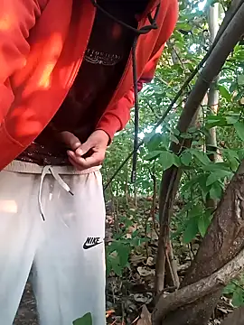 Piyush 2024 online show from November 19, 2025, 1:49 am