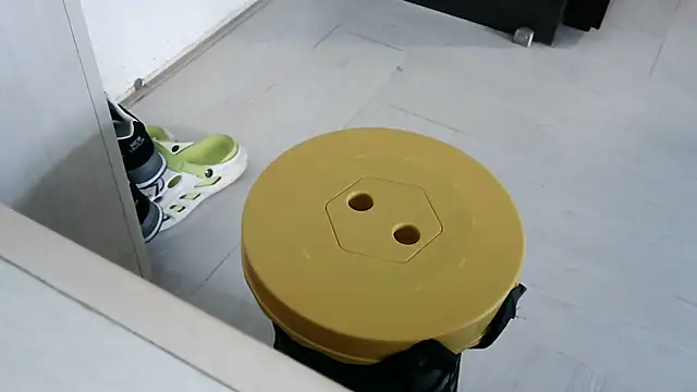 XiaoGuoGuo284512 online show from January 20, 2025, 4:54 am