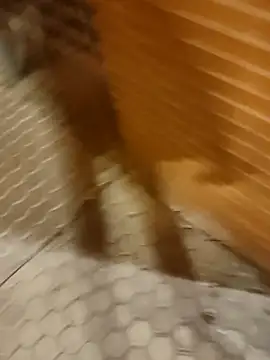 Snapshot of Satiro_Sevilla chatting on February 17, 2025, 7:33 pm Satiro Sevilla online show from February 17, 2025, 7:33 pm