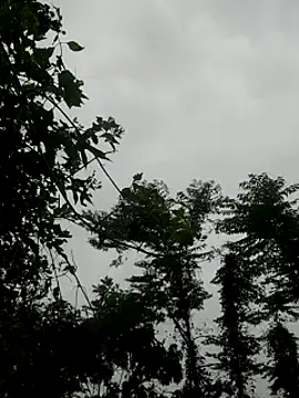 kumaricapalsex2 online show from January 27, 2025, 4:20 am