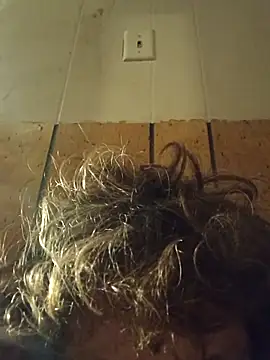 Dt311dt online show from January 11, 2026, 9:16 am