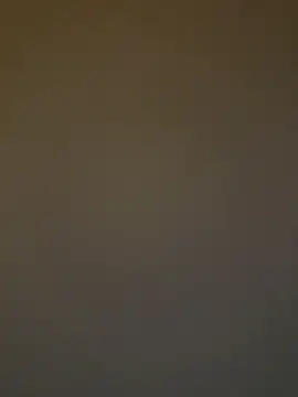 ADilil online show from December 20, 2025, 6:38 am