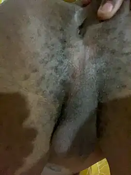 skyfall200 online show from December 27, 2024, 9:28 am