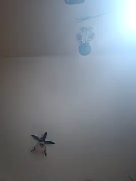 vulpe8400 online show from April 7, 2026, 10:33 pm