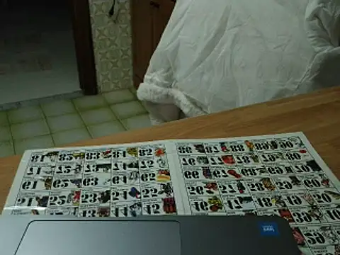 Snapshot of VeneRed chatting on November 17, 2025, 7:51 pm VeneRed online show from November 17, 2025, 7:51 pm