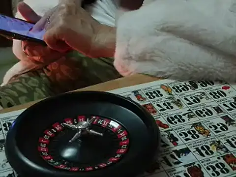 Snapshot of VeneRed chatting on November 12, 2025, 7:18 pm VeneRed online show from November 12, 2025, 7:18 pm