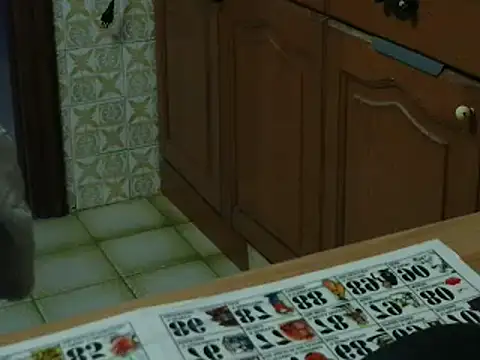 Snapshot of VeneRed chatting on November 16, 2025, 5:28 pm VeneRed online show from November 16, 2025, 5:28 pm