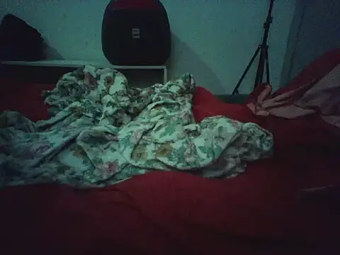 Snapshot of novilho18piroc chatting on May 25, 2026, 5:22 pm novilho18piroc online show from May 25, 2026, 5:22 pm