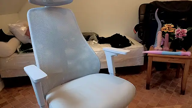 SteveStiffbone online show from February 1, 2026, 1:31 pm