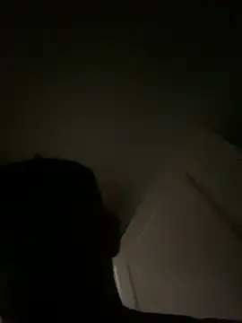 Snapshot of LCarreraa chatting on January 30, 2025, 11:13 pm LCarreraa online show from January 30, 2025, 11:13 pm