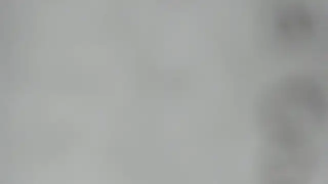 Snapshot of elis_gabbi chatting on February 28, 2026, 2:44 am elis gabbi online show from February 28, 2026, 2:44 am