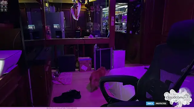 bearcloudcomputa online show from March 1, 2026, 8:36 am