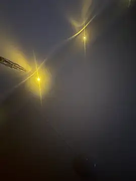 Desye online show from February 12, 2026, 11:04 pm