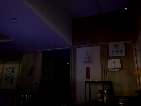 TaiwanSlutBitch online show from December 3, 2024, 1:36 am