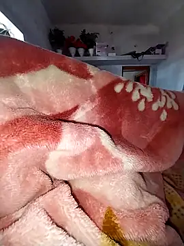 Snapshot of sudhastriper chatting on February 14, 2026, 6:13 am sudhastriper online show from February 14, 2026, 6:13 am