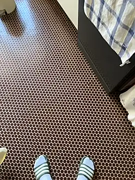 solomec online show from April 11, 2026, 7:05 am