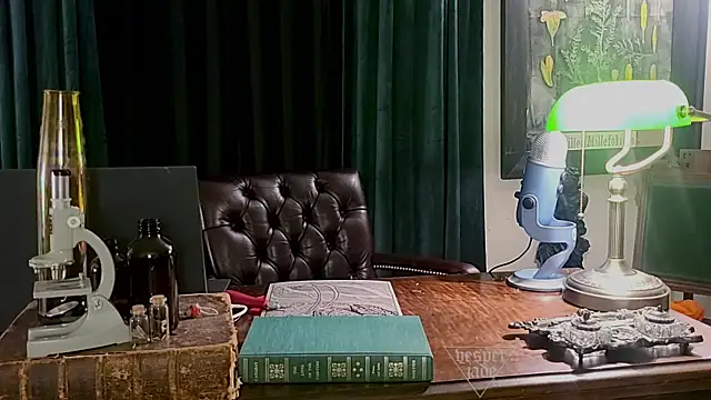 Snapshot of vesperjadex chatting on February 1, 2025, 1:44 am vesperjadex online show from February 1, 2025, 1:44 am