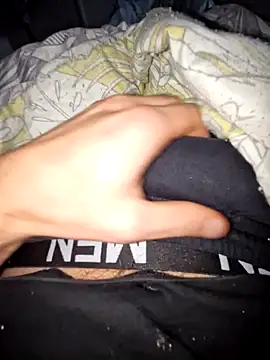 Snapshot of Landryyyyy chatting on December 11, 2024, 8:15 am Landryyyyy online show from December 11, 2024, 8:15 am