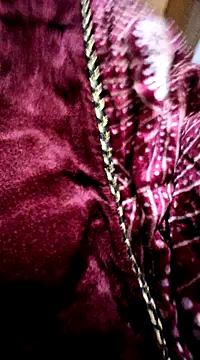 menakshiiikaur online show from December 24, 2024, 2:22 pm