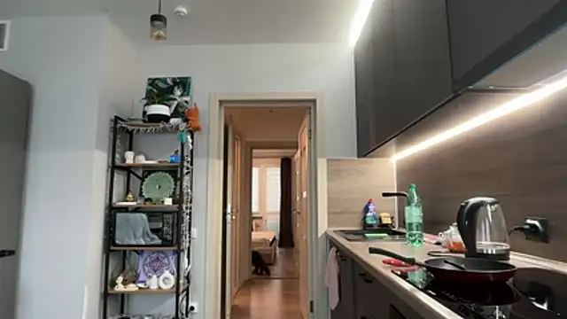 jainesummer online show from December 4, 2025, 8:46 am