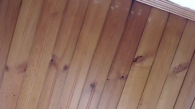 julz 03 online show from October 30, 2025, 12:03 pm