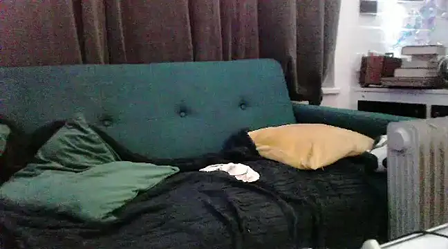 unclestefansdick online show from December 16, 2024, 10:08 am