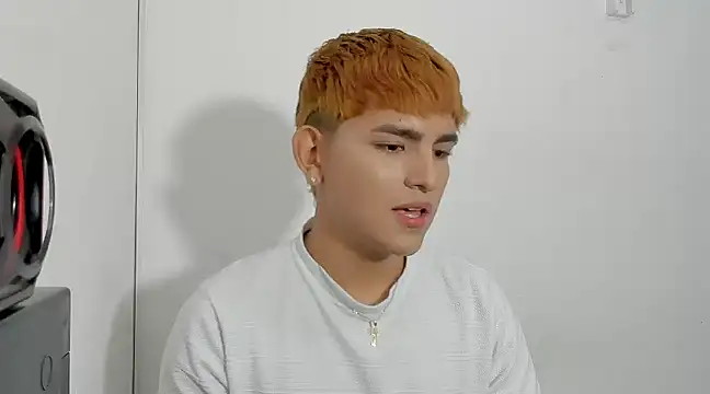 Snapshot of Lyam_ap chatting on December 3, 2024, 1:47 am Lyam ap online show from December 3, 2024, 1:47 am