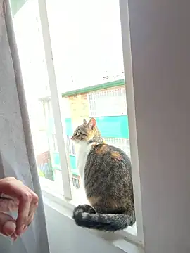 Lolitacooper online show from April 28, 2026, 8:13 pm