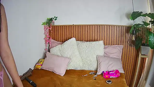 Snapshot of ShyVibes_ chatting on February 4, 2026, 8:26 pm ShyVibes online show from February 4, 2026, 8:26 pm