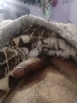 Noname333u online show from December 18, 2025, 7:46 am