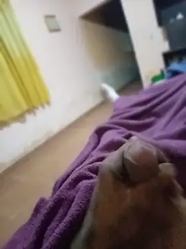 carloshot31 online show from March 31, 2026, 8:49 am