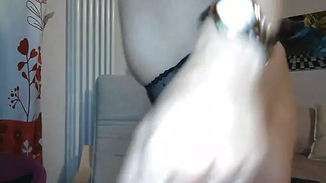 MISXY online show from September 12, 2025, 8:36 am