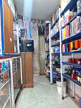 nidia2026 online show from November 15, 2025, 1:59 pm