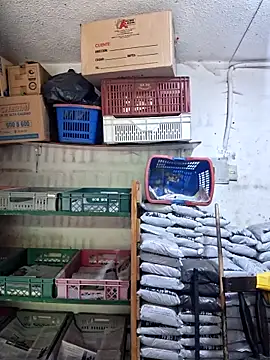 nidia2026 online show from April 21, 2026, 1:07 pm