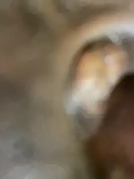 GangsterCouple-Aimy-Jonny online show from February 10, 2026, 12:53 am