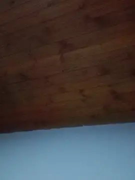 Snapshot of Darly_Gomez chatting on February 19, 2025, 8:41 pm Darly Gomez online show from February 19, 2025, 8:41 pm