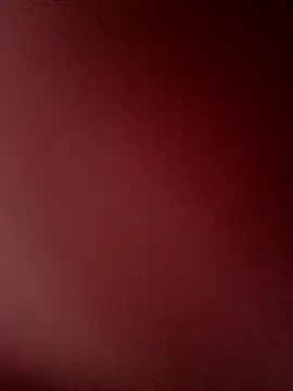 tuty Tap online show from January 7, 2025, 8:10 pm