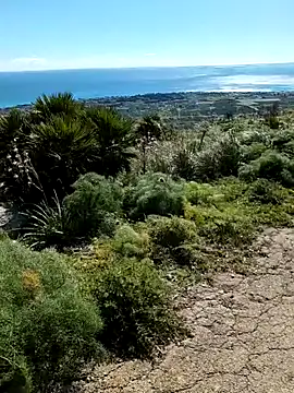 Snapshot of Samira-Summer chatting on February 22, 2026, 10:17 am Samira-Summer online show from February 22, 2026, 10:17 am