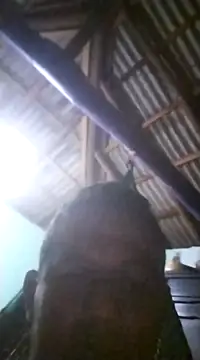 Feli230990 online show from December 16, 2024, 5:17 am