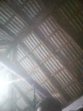 Feli230990 online show from April 8, 2026, 5:20 am