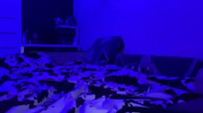 Princess Dianka online show from January 10, 2025, 12:15 pm