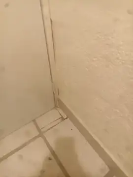 FlacoRiaton online show from February 10, 2026, 8:13 am