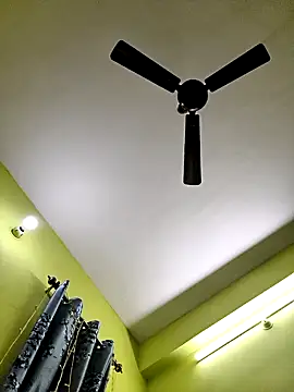 Shashi 9896 online show from November 19, 2025, 2:39 pm