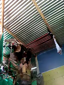 Snapshot of thamygomezz chatting on September 9, 2025, 4:49 pm thamygomezz online show from September 9, 2025, 4:49 pm