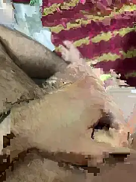 hamoo23p online show from December 14, 2025, 1:01 am