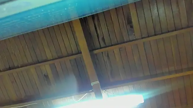 Snapshot of jeicob_gagnon chatting on September 15, 2025, 2:01 am jeicob gagnon online show from September 15, 2025, 2:01 am